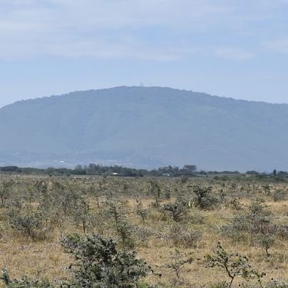 YohWifesHusband's profile picture. Like fine Wine