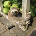 Paul An - @XLope - Twitter