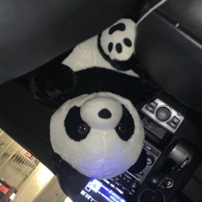 YolticEmilio's profile picture.