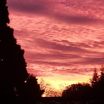 FutureDev2's profile picture. Just a future Game Dev hopeful who is here to ask questions, get to know the communities, and see what people have to say. I am here to learn.