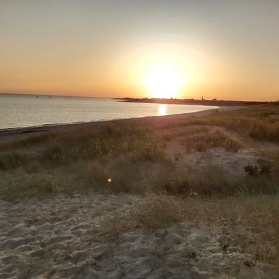 ylgirard's profile picture. 