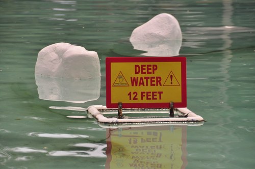 ntsfbox's profile picture. 