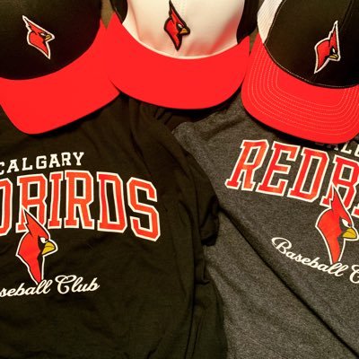 Co-Founder @3StonesSports | MRU & Canisius Alumni | MSA, BBE | Technical Director @CalgaryRedbirds