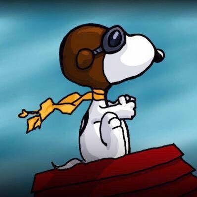 yusifmarzuca's profile picture. 