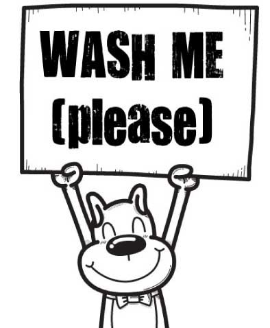 We are mobile dog (and cat) detailers, launching in 2011! An up-market groomer with organic products leaving your pets happy and clean!