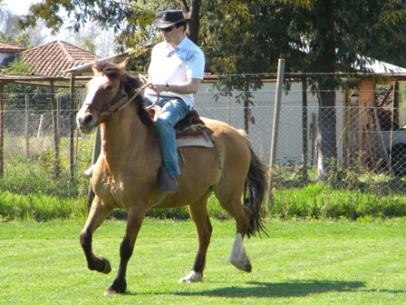 Vecino Santiago