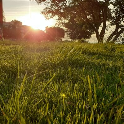 Granola45905318's profile picture. 