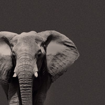 LicSilvaFranco's profile picture. Ejerciendo la abogacía en la tranquila y hermosa ciudad de Durango. 🇲🇽