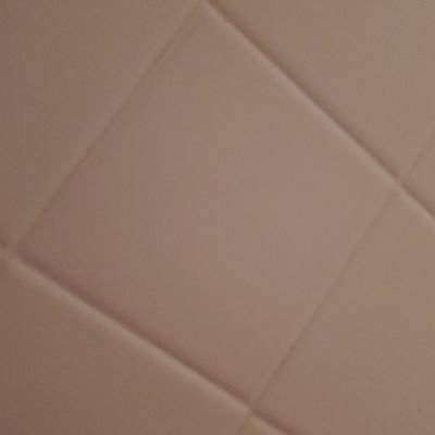 chevyae86's profile picture. surviving everyday