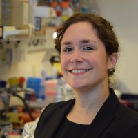 Ellen DeGennaro, PhD (@violinplots) 's Twitter Profile