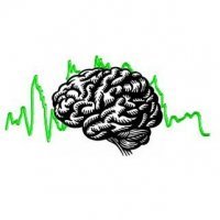 broderickonline's profile picture. The Broderick Brain Foundation promotes education and research in Neuroscience, and provides scholarships, grants, and research funding to researchers.