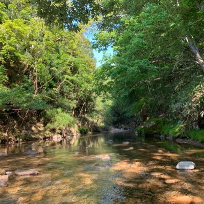 0527Xxxfxxx5's profile picture. 