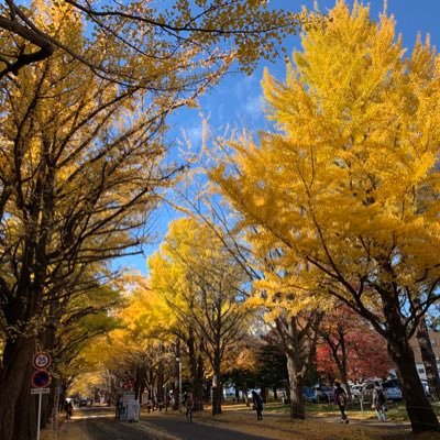 VTCF140's profile picture. 