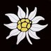 Ziggy Heildust 🕉️...35/55 (@gebirgsjager2) Twitter profile photo Ziggy Heildust 🕉️...35/55 (@gebirgsjager2) Twitter profile photo