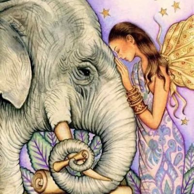 julia99073901's profile picture. 