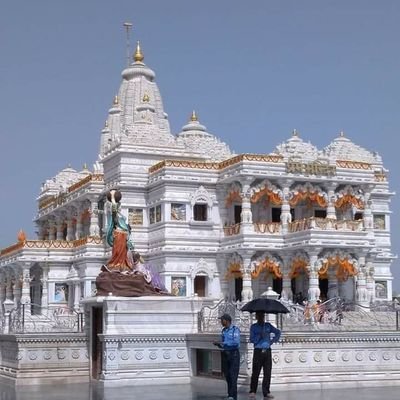 781f68b9229f495's profile picture. 