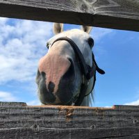 さやぴ (@saya1021saya) 's Twitter Profile Photo