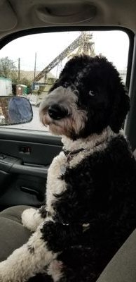 Michael29749433's profile picture. Risk manager of stocks and options. my opinions are my own.