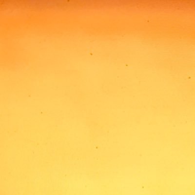 MultibaggerHun1's profile picture. Mission to find guaranteed multibaggers, one by one. Time will do the rest. Not certified by SEBI.