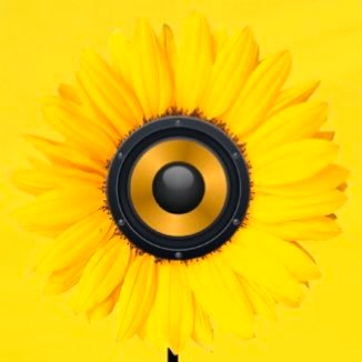 A festival of discovery in contemporary music, arts and culture, brought together with sunshine, style and good taste! ••2021 dates TBC**