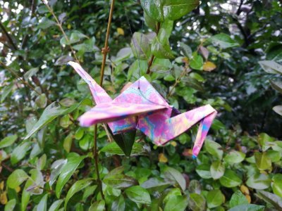 Reaching out to bring love and hope in a time of fear for many.
#PaperCranes #TogetherWeHope #OneCraneAtATime