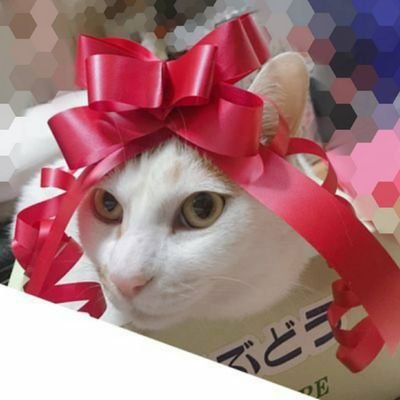 sabatora335's profile picture. 