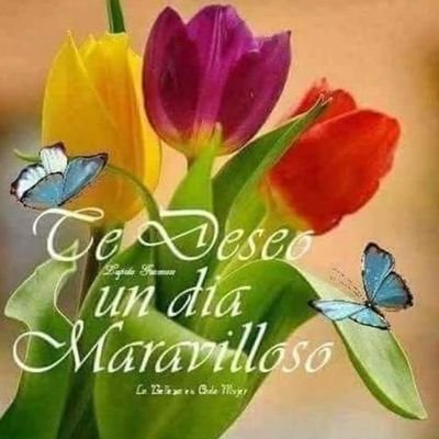 ESTHERHERREROS's profile picture. 