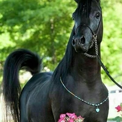 6vN1uuknGWV3esm's profile picture. اللهم لك الحمد حتي ترضي ولك الحمد اذا رضيت ولك الحمد علي كل حال