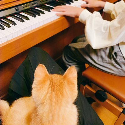 オンラインでピアノ講師をしています🎹ここでは、日常生活でふと思ったことなどを ゆる〜くつぶやいています