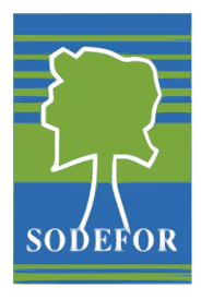 SodeforC's profile picture. 