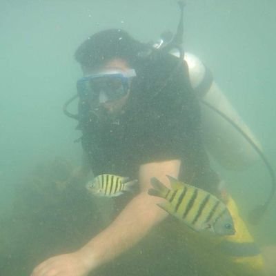 sunilpandit123's profile picture. my wit