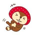 totoropipi's profile picture. 🌺いわきFCサポーターです🌺  ／田中謙吾元選手・日高大選手／🫶→写真撮影・息子のサッカー・コジコジ・パペットスンスン・お得情報・イカ・カフェオレ・キレイな景色🌈🌠／　🏡住んだよ🏡→福島(浜＆中＆会津各地)・東京・埼玉・アメリカ／
