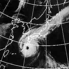 aiokure's profile picture. ネコとカメラが好きです  
仕事が休みの日は競馬で外しまくるかパチスロで熱いレバーオンしてるパチンカスです
お金がない時はどこかの山へトレッキングに出かけています

たま～につぶやきます………