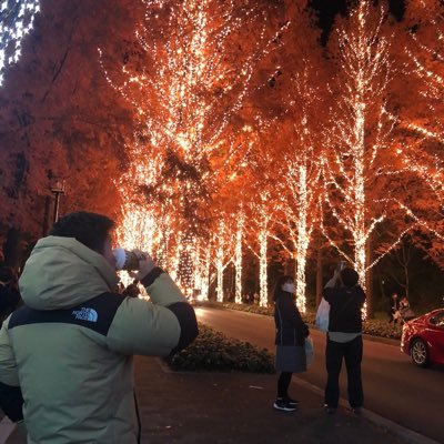 1Renta's profile picture. 