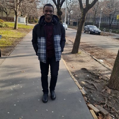 Okafor_Ogo's profile picture. MNSE. B.Eng. Projects.