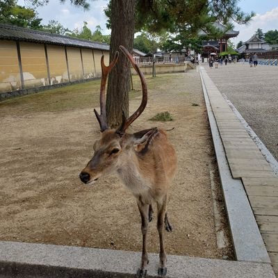 XYZ64604846's profile picture. 麻雀、パチンコ動画、DB芸人