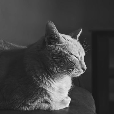 rvzuuu's profile picture. 