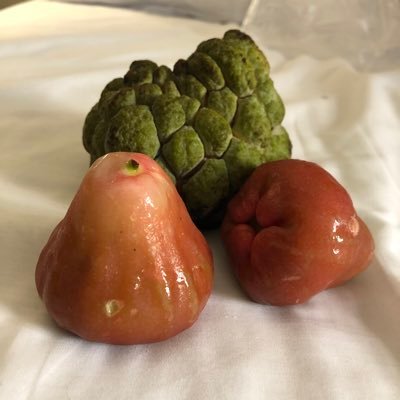 ヲロヌヨ倶楽部さんのプロフィール画像