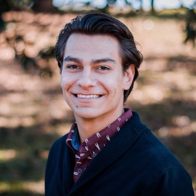 MikhailLavrino1's profile picture. 