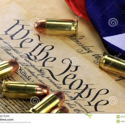 Pro2A4's profile picture. Shall Not Be Infringed