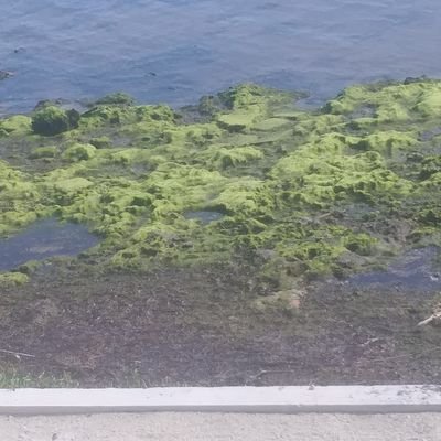 JimMcHu88941440's profile picture. 