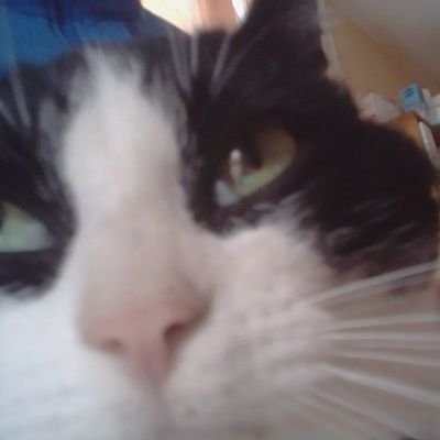 SkyflowYoutube's profile picture. 🇫🇷Joueur de la @ayze_clan

godebye👋