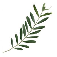 The Joy Of Argument (@joa_book) 's Twitter Profile Photo