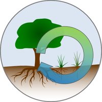 Britta Tietjen (@tietjenlab) Twitter profile photo