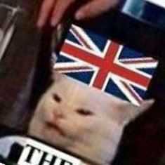 ide_bb's profile picture. 