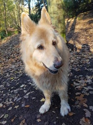 Stood up and talked for all creatures since I could walk and talk..Sentient SOULS urgently need our help..ASK YOUR MP TO SIGN EDM 25. PLEASE 🙏