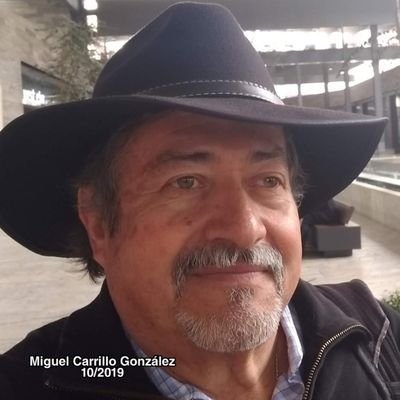 Sanador Energético, Hipnoterapeuta, Tarotista, Asesor de Vida.