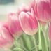 Amal Alsubaiti (@ph_amal) Twitter profile photo Amal Alsubaiti (@ph_amal) Twitter profile photo