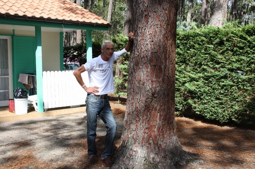 TonyPrins's profile picture. 