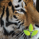 Environment, wildlife and environmental justice news from across the world